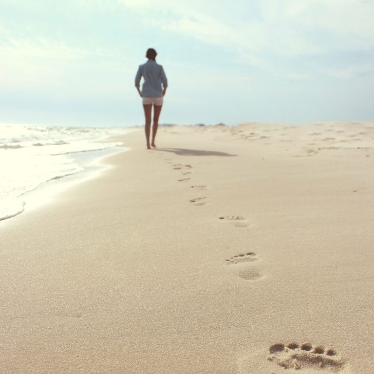 Les Crocs sous la Toge : Une Enquête Métaphysique sur les Manipulateurs de l’Ombre en pleine Lumière