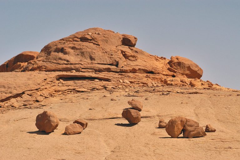 « La Langue, ce Muscle Invisible : Entre Bénédiction et Poison, Qui est Ton Vrai Maître ? »