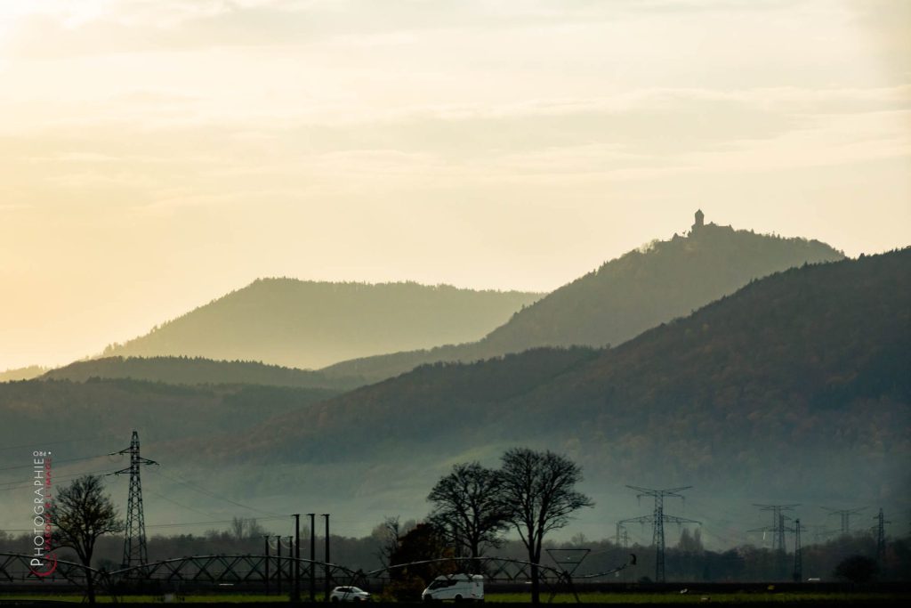 S1169782_c_PhotoGraphie.Pro