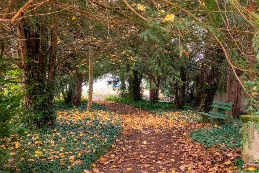 S1169837_c_PhotoGraphie.Pro