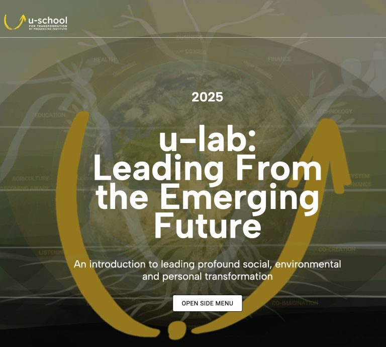 u-lab 1x : Apprendre à diriger le changement « transformateur »