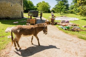 S1169478_c_PhotoGraphie.Pro